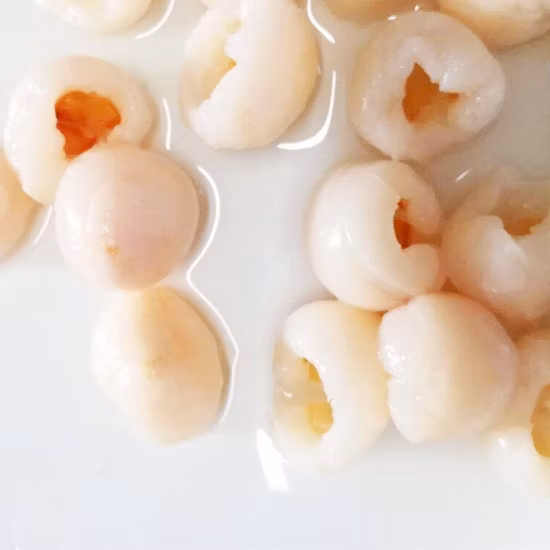 Neue Rucksack Garten Landwirt Landwirtschaft Landwirtschaft Hand Manuelle Ernte 2 in 1 Rucksack Batterie Elektrische Sprayer (HT